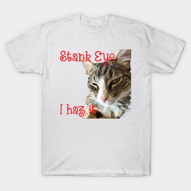 STANK EYE, I haz it! annoyed Maine Coon cat T-Shirt by TanoshiiNeko